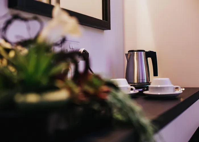 酒店 弗兰吉奥酒店 3*